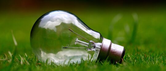 Pesquisa da UFES transforma excedentes de laranjeira em bioenergia