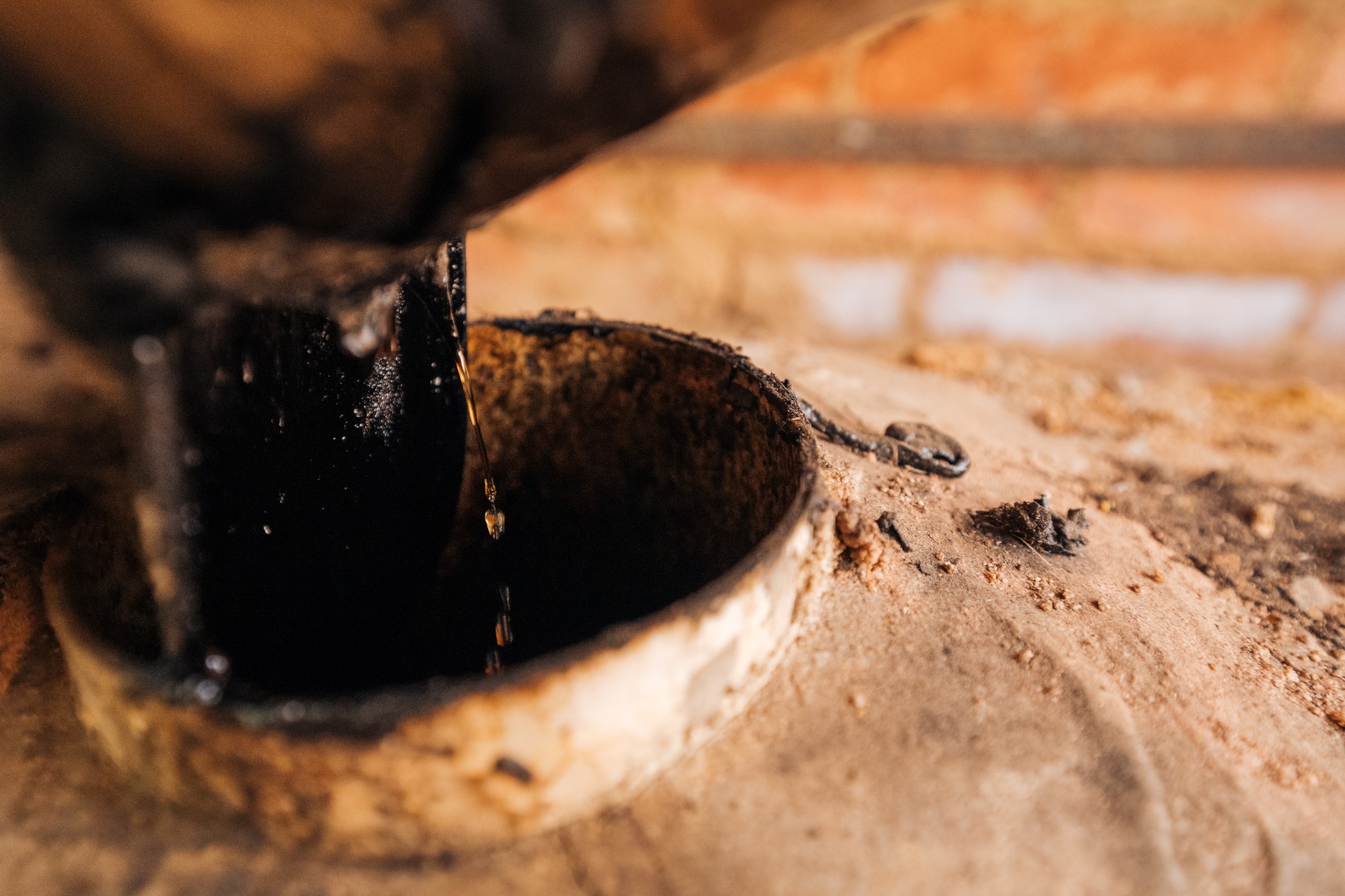 Extrato Pirolenhoso fomenta desenvolvimento sustentável e economia ao setor florestal e agronegócio