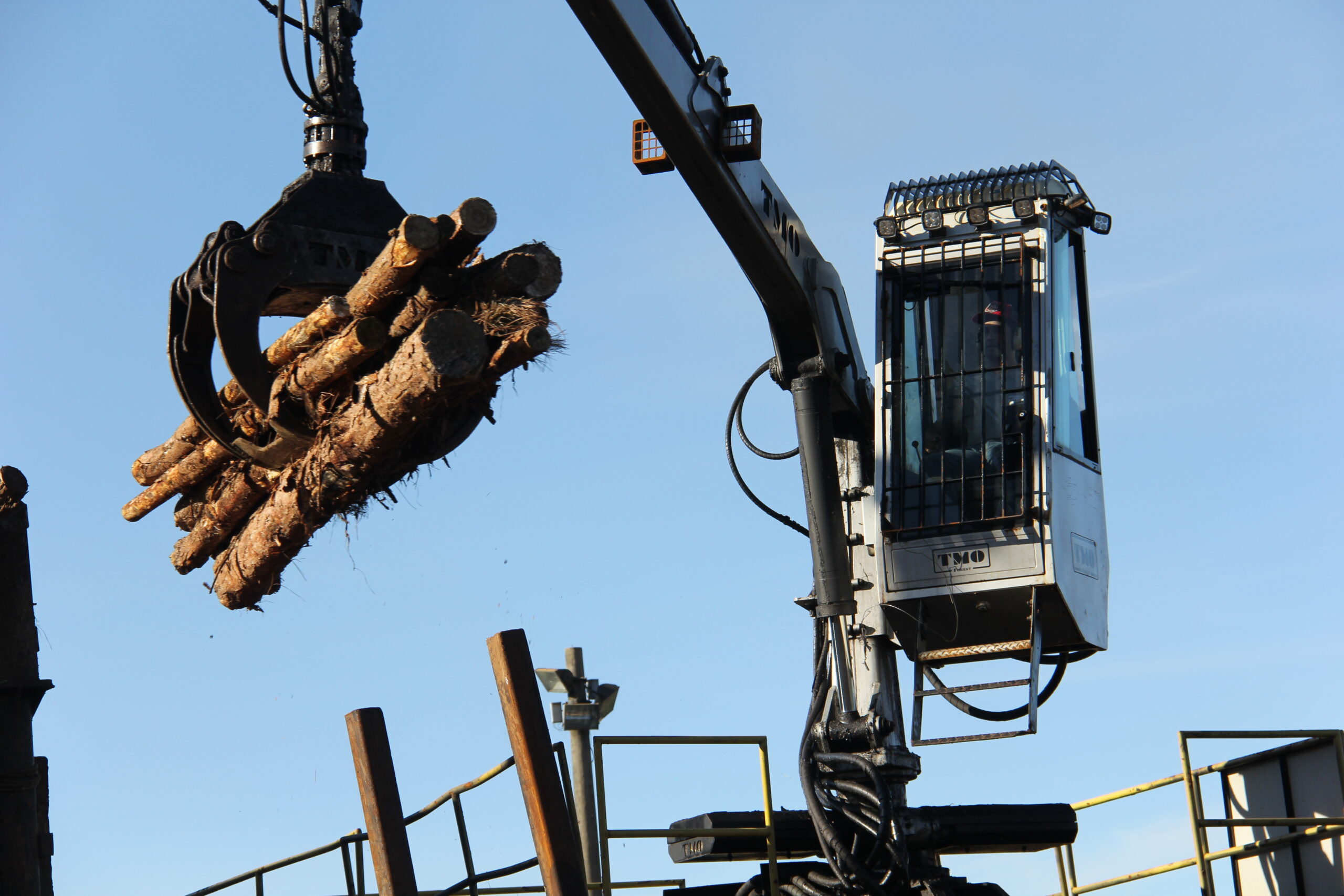 TMO Forest aposta em tecnologia e tradição para se destacar na Expoforest 2023