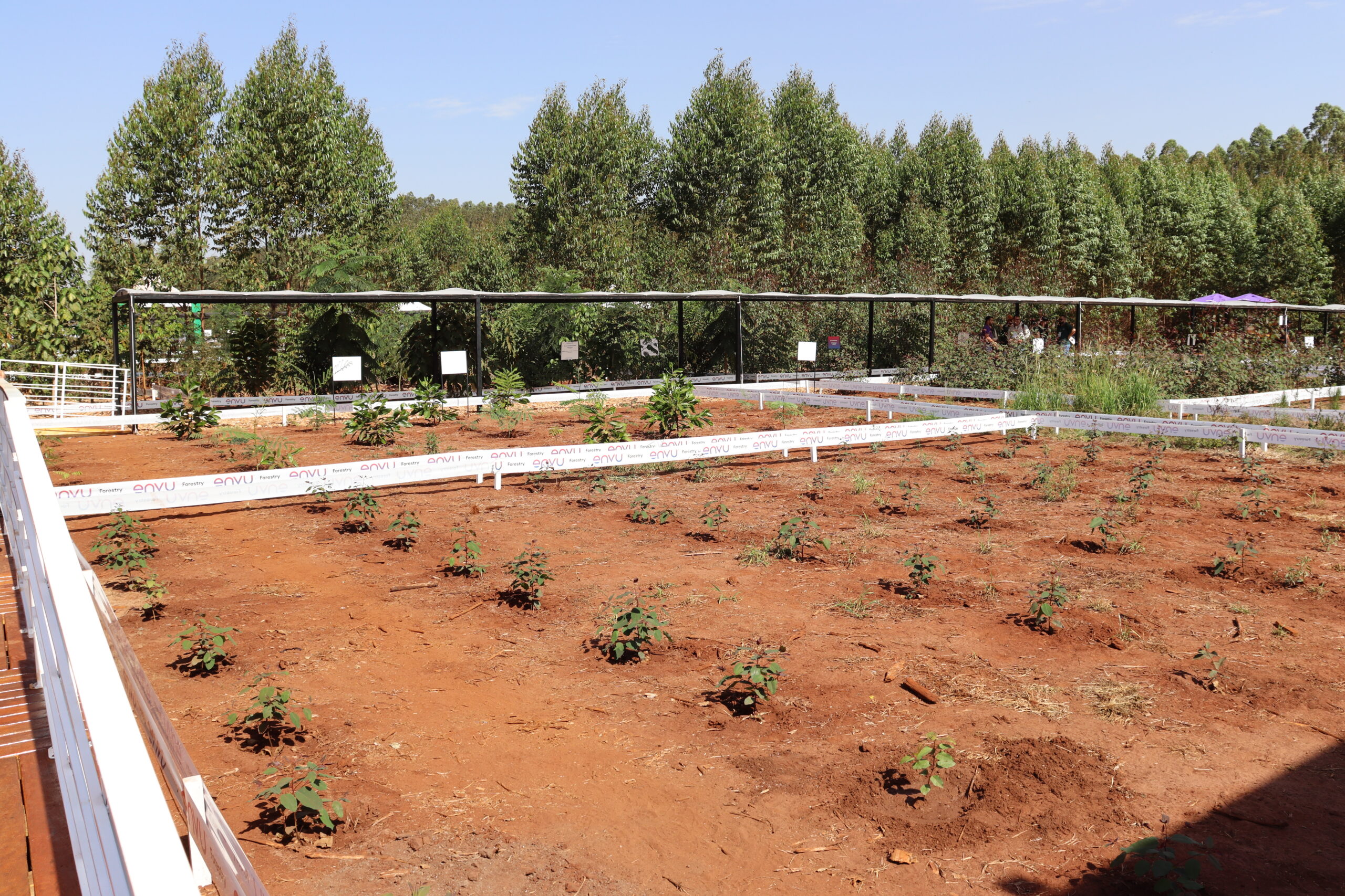 Expoforest 2023: Envu destaca nova opção de aplicação de Fordor Flex com uso de drone