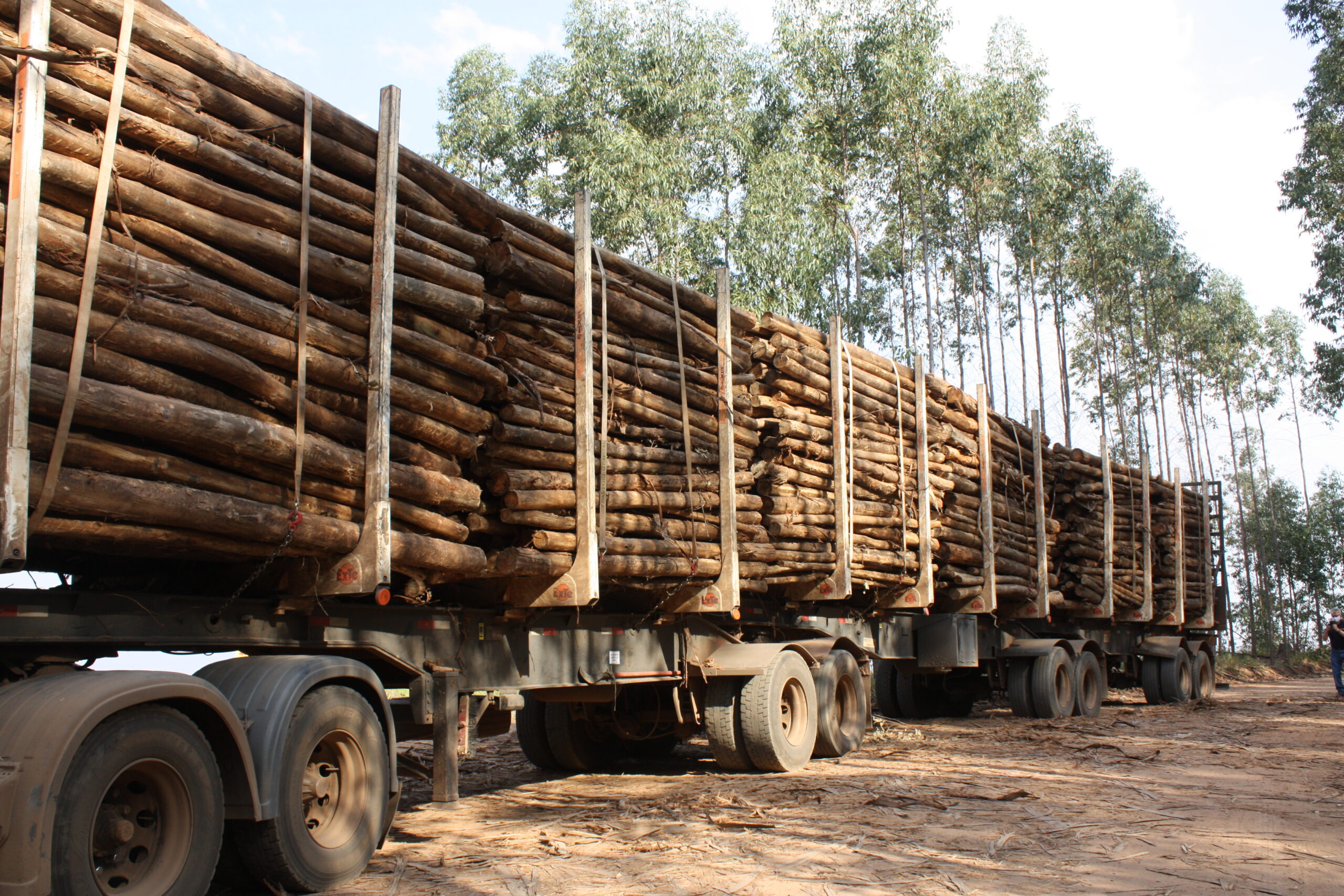 Emex leva equipamentos de marcas mundialmente reconhecidas à Expoforest 2023