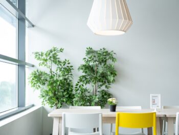 Empresas brasileiras participam da edição de outono da High Point Market 2023