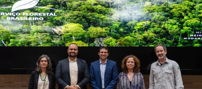 Florestas do Paraná e Santa Catarina entram em processo de licitação