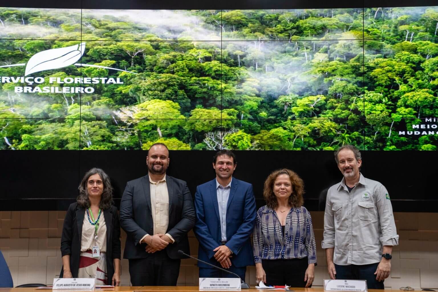 Florestas do Paraná e Santa Catarina entram em processo de licitação